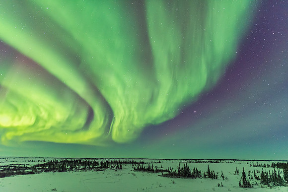 Aurora with Leo and Jupiter Rising (Feb 5, 2016), Photo credit: Alan Dyer.