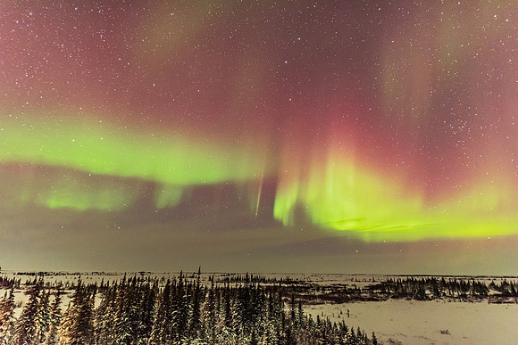 Aurora Borealis over the Boreal Forest, Photo credit: Alan Dyer
