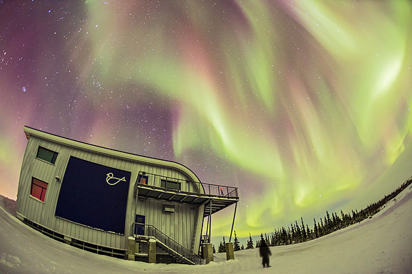 Gazing at the Aurora from Churchill, Photo credit: Alan Dyer.